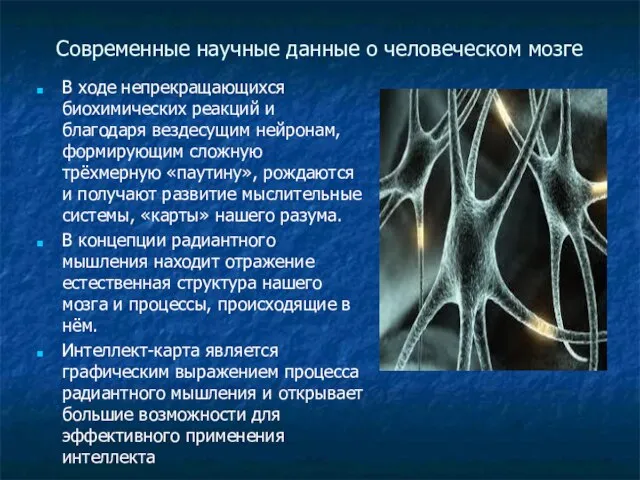 Современные научные данные о человеческом мозге В ходе непрекращающихся биохимических реакций