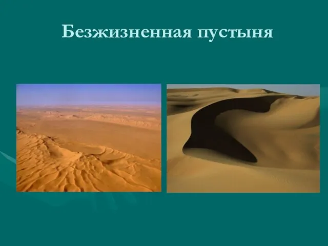 Безжизненная пустыня