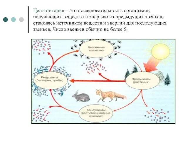 Цепи питания – это последовательность организмов, получающих вещества и энергию из