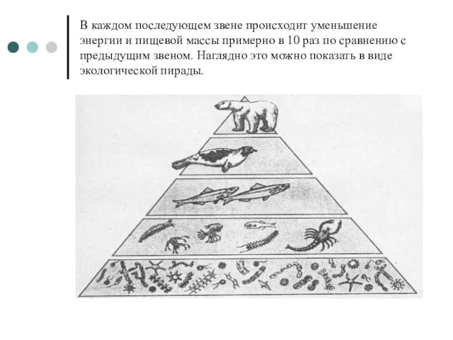 В каждом последующем звене происходит уменьшение энергии и пищевой массы примерно