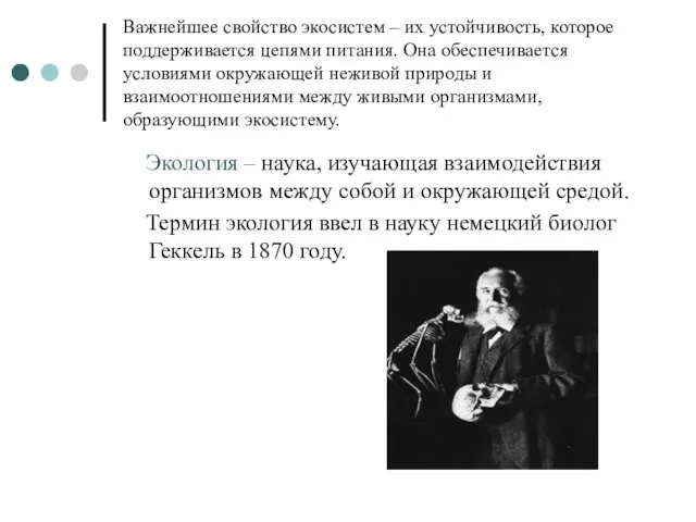 Важнейшее свойство экосистем – их устойчивость, которое поддерживается цепями питания. Она