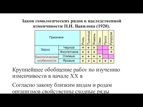 Закон гомологических рядов в наследственной изменчивости Н.И. Вавилова (1920). Крупнейшее обобщение