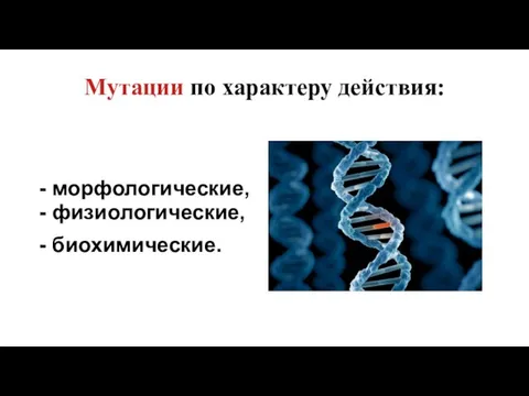 Мутации по характеру действия: - морфологические, - физиологические, - биохимические.