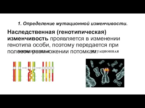 1. Определение мутационной изменчивости. Наследственная (генотипическая) изменчивость проявляется в изменении генотипа