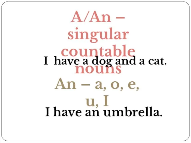 A/An – singular countable nouns I have a dog and a