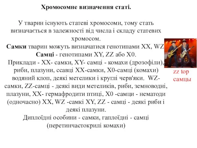 Хромосомне визначення статі. У тварин існують статеві хромосоми, тому стать визначається