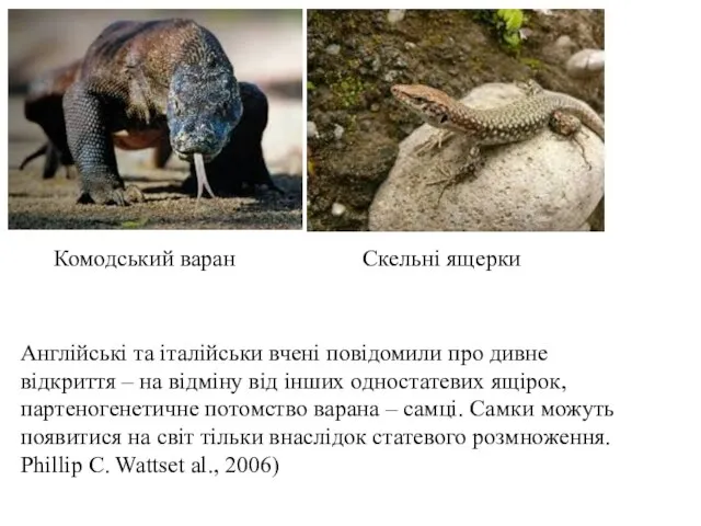 Англійські та італійськи вчені повідомили про дивне відкриття – на відміну