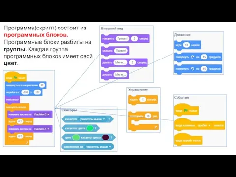 Программа(скрипт) состоит из программных блоков. Программные блоки разбиты на группы. Каждая