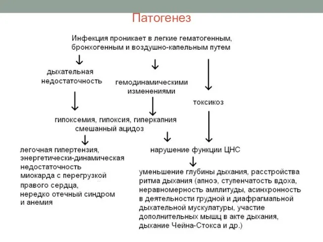 Патогенез