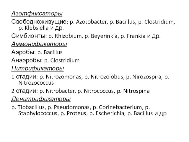 Азотфиксаторы Свободноживущие: p. Azotobacter, p. Bacillus, p. Clostridium, p. Klebsiella и