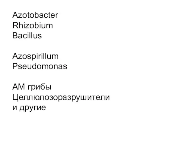 Azotobacter Rhizobium Bacillus Azospirillum Pseudomonas АМ грибы Целлюлозоразрушители и другие