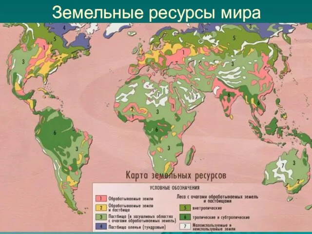 Земельные ресурсы мира