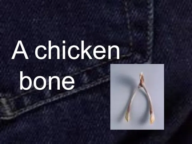 A chicken bone