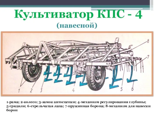 1-рама; 2-колесо; 3-замок автосцепки; 4-механизм регулирования глубины; 5-грядили; 6-стрельчатая лапа; 7-пружинная