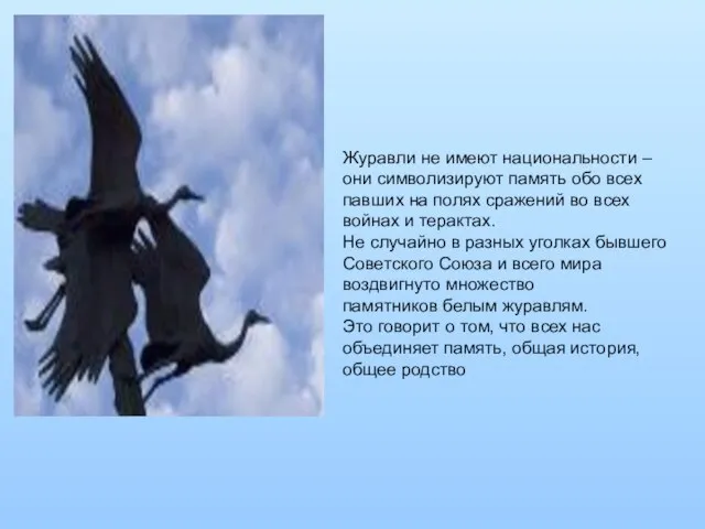 Журавли не имеют национальности – они символизируют память обо всех павших