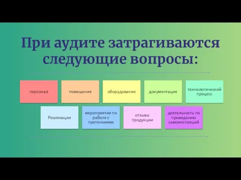 При аудите затрагиваются следующие вопросы: персонал помещения оборудование документация технологический процесс