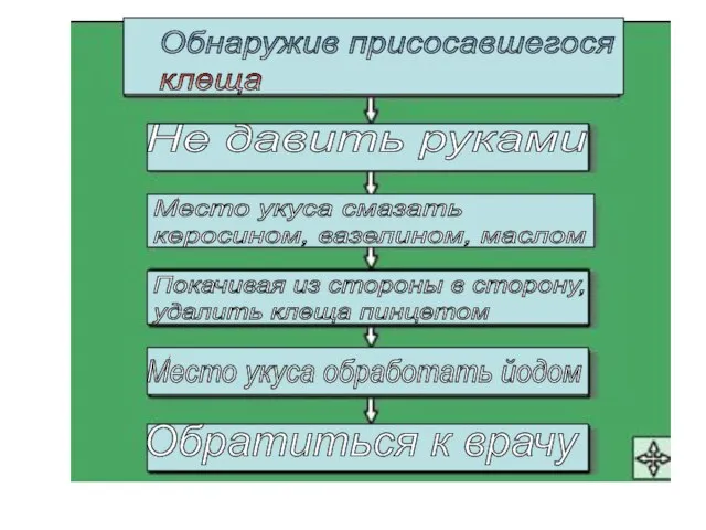 Обнаружив присосавшегося клеща Не давить руками Место укуса смазать керосином, вазелином,