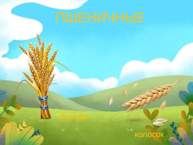 ПШЕНИЧНЫЕ колоски колосок