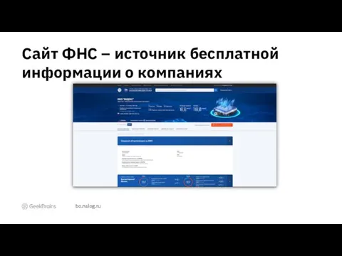 Сайт ФНС – источник бесплатной информации о компаниях bo.nalog.ru