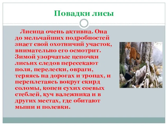 Повадки лисы Лисица очень активна. Она до мельчайших подробностей знает свой