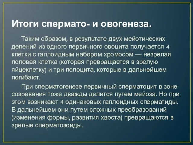 Итоги спермато- и овогенеза. Таким образом, в результате двух мейотических делений