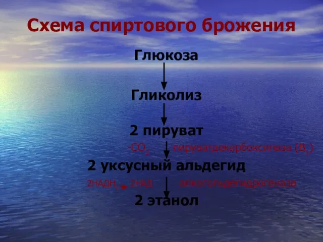 Схема спиртового брожения Глюкоза Гликолиз 2 пируват -СО2 пируватдекарбоксилаза (В1) 2