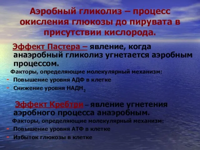 Аэробный гликолиз – процесс окисления глюкозы до пирувата в присутствии кислорода.