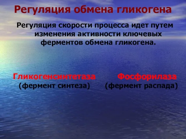 Регуляция обмена гликогена Регуляция скорости процесса идет путем изменения активности ключевых