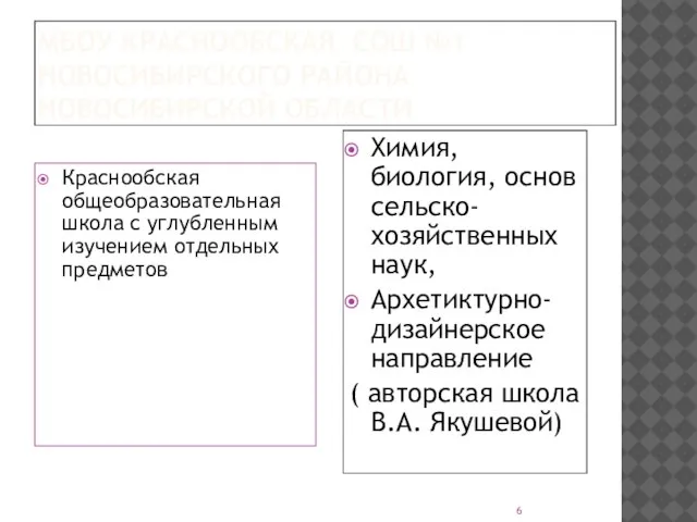 МБОУ КРАСНООБСКАЯ СОШ №1 НОВОСИБИРСКОГО РАЙОНА НОВОСИБИРСКОЙ ОБЛАСТИ Краснообская общеобразовательная школа