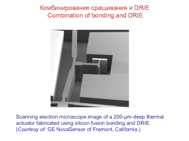 Комбинирование сращивания и DRIE Combination of bonding and DRIE Scanning electron