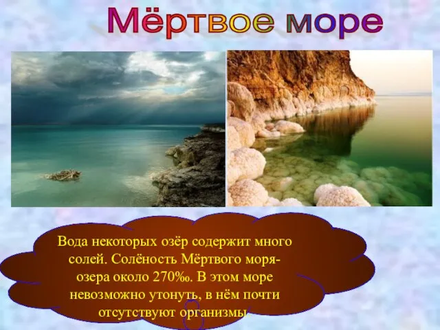 Мёртвое море Вода некоторых озёр содержит много солей. Солёность Мёртвого моря-озера