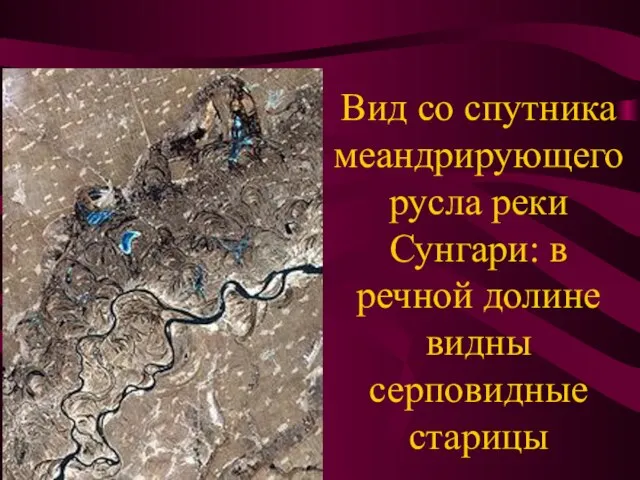 Вид со спутника меандрирующего русла реки Сунгари: в речной долине видны серповидные старицы