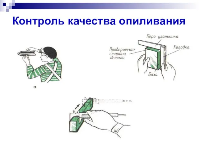 Контроль качества опиливания