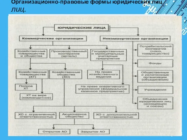 Организационно-правовые формы юридических лиц лиц.