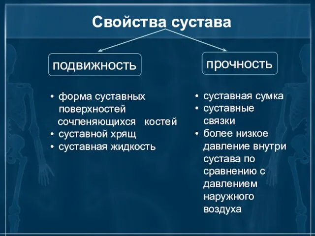 Свойства сустава подвижность прочность форма суставных поверхностей сочленяющихся костей суставной хрящ