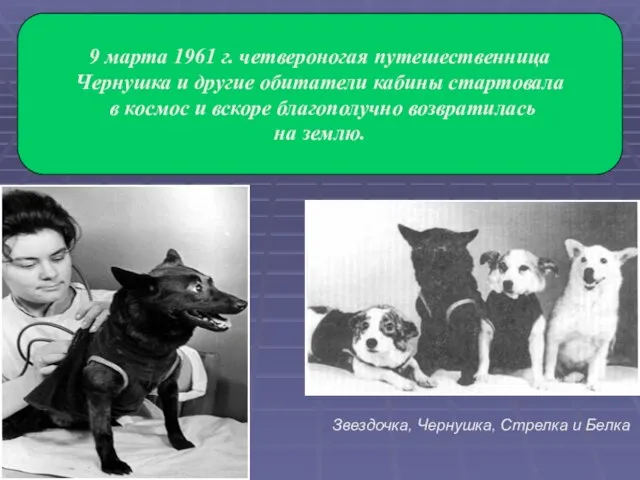 9 марта 1961 г. четвероногая путешественница Чернушка и другие обитатели кабины