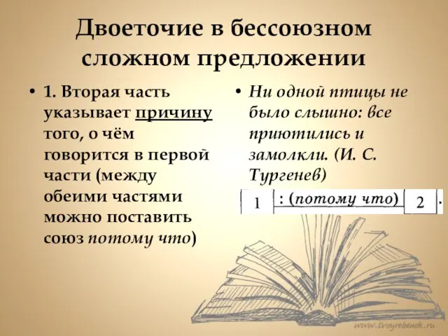 Двоеточие в бессоюзном сложном предложении 1. Вторая часть указывает причину того,