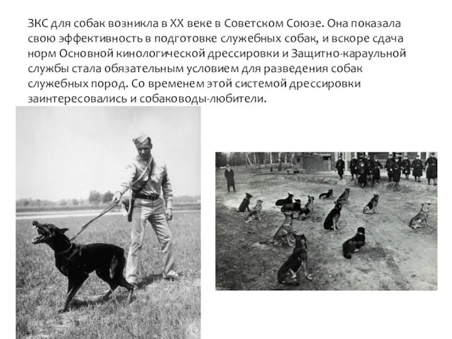 ЗКС для собак возникла в XX веке в Советском Союзе. Она