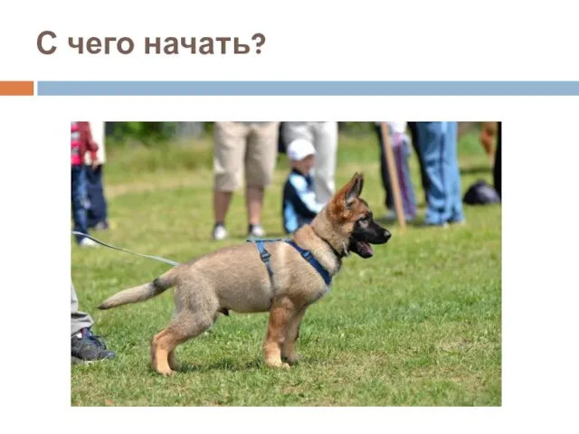 С чего начать?