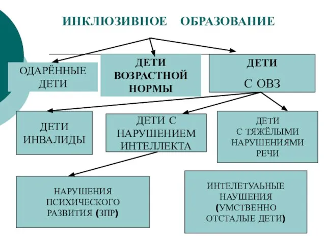 ИНКЛЮЗИВНОЕ ОБРАЗОВАНИЕ ДЕТИ ИНВАЛИДЫ ДЕТИ С НАРУШЕНИЕМ ИНТЕЛЛЕКТА ДЕТИ С ТЯЖЁЛЫМИ