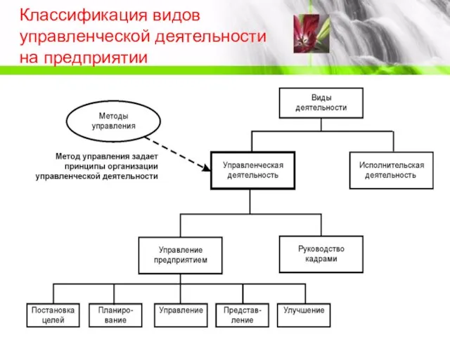 Классификация видов управленческой деятельности на предприятии