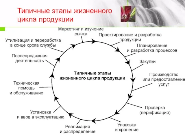 Типичные этапы жизненного цикла продукции