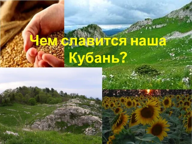 Чем славится наша Кубань?