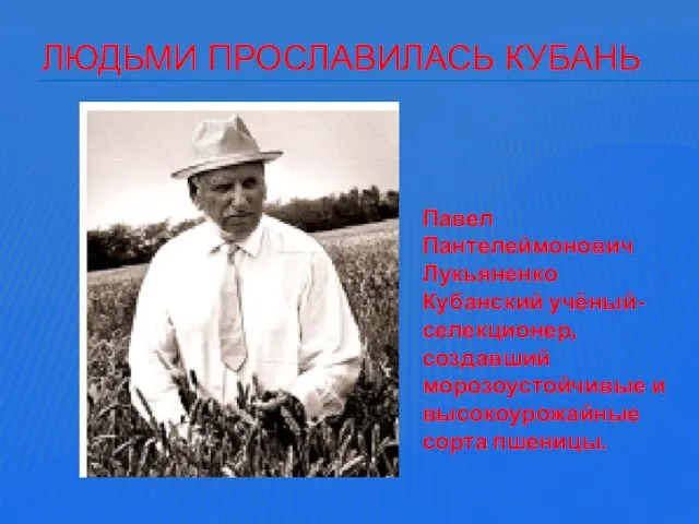 Павел Пантелеймонович Лукьяненко Кубанский учёный-селекционер, создавший морозоустойчивые и высокоурожайные сорта пшеницы. ЛЮДЬМИ ПРОСЛАВИЛАСЬ КУБАНЬ