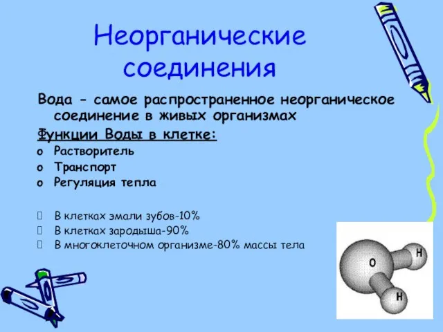 Неорганические соединения Вода - самое распространенное неорганическое соединение в живых организмах