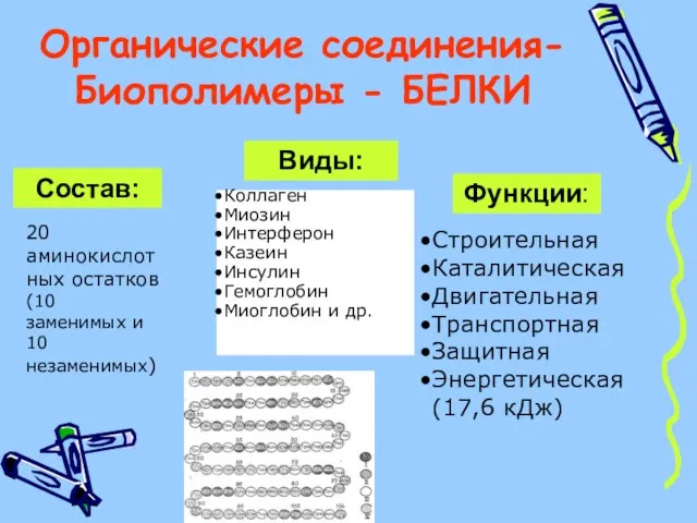 Органические соединения- Биополимеры - БЕЛКИ Строительная Каталитическая Двигательная Транспортная Защитная Энергетическая