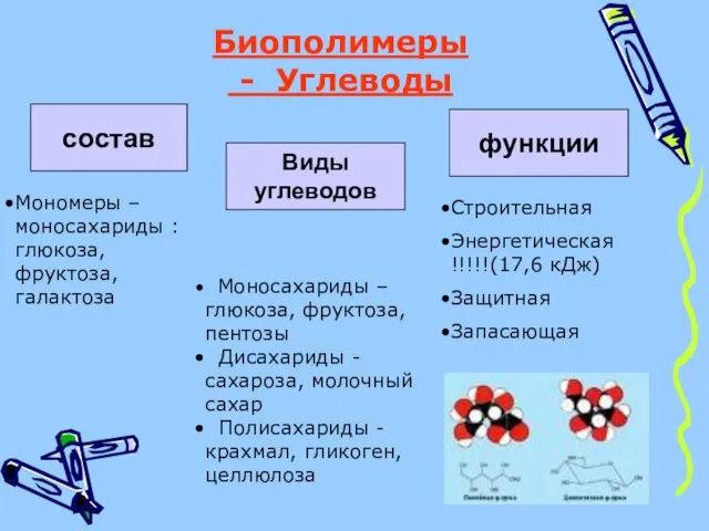 Биополимеры - Углеводы Моносахариды – глюкоза, фруктоза, пентозы Дисахариды - сахароза,