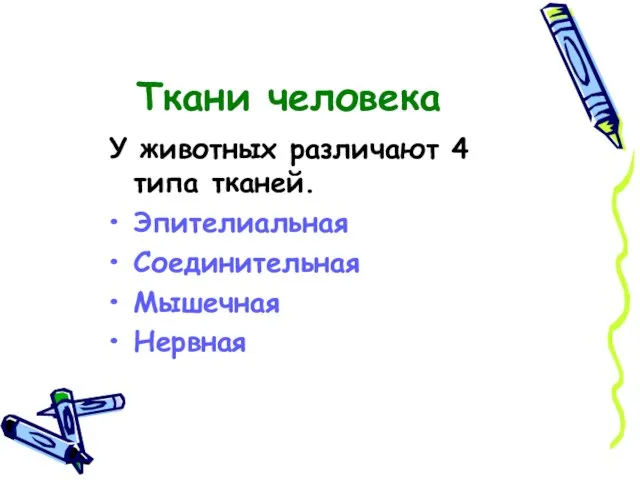 Ткани человека У животных различают 4 типа тканей. Эпителиальная Соединительная Мышечная Нервная