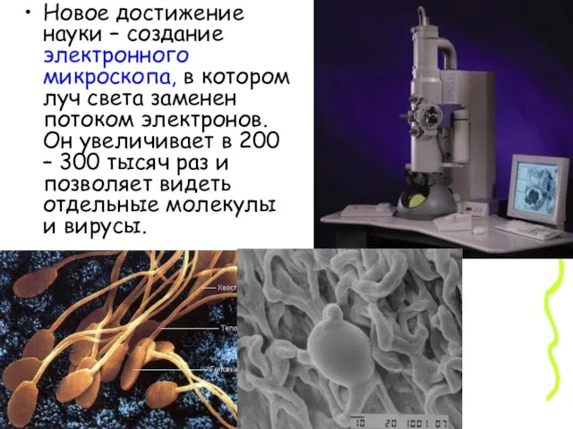 Новое достижение науки – создание электронного микроскопа, в котором луч света