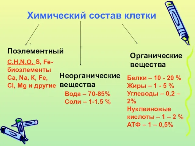 Химический состав клетки Поэлементный Неорганические вещества Органические вещества С,Н,N,О, S, Fe-